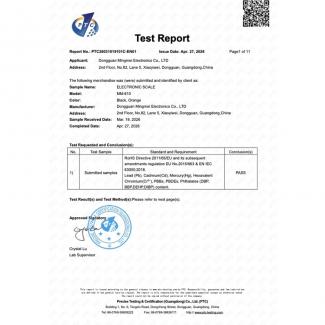 RoHS Test Report - PASS (2026)
